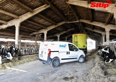 Installazione di un Impianto di Videosorveglianza per un Allevamento Bovino a Vicenza | SITIP SECURITY